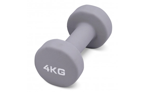 Гантель для аэробики неопреновая 4 кг PRCTZ NEOPRENE DUMBBELL PS7125 600_380